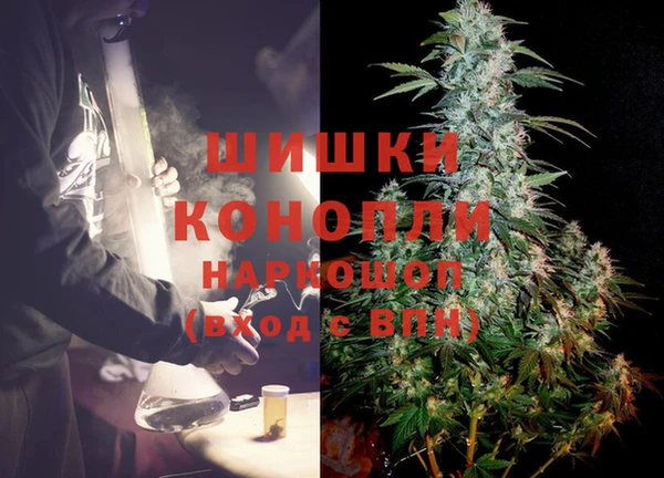 прущие крисы Белокуриха