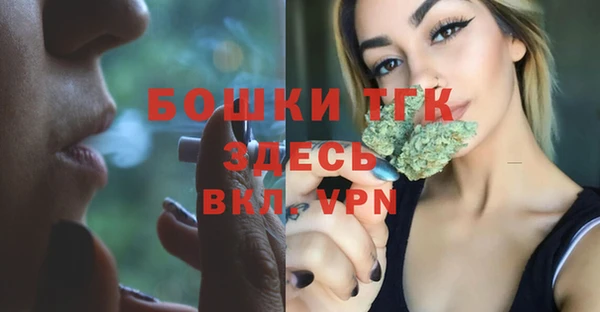 прущие крисы Белокуриха