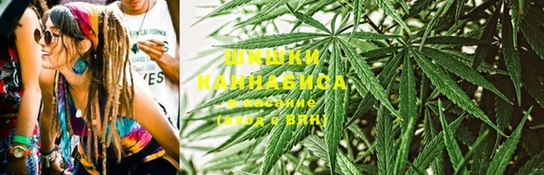 прущие крисы Белокуриха