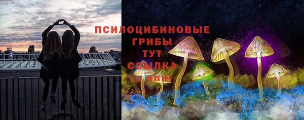 прущие крисы Белокуриха