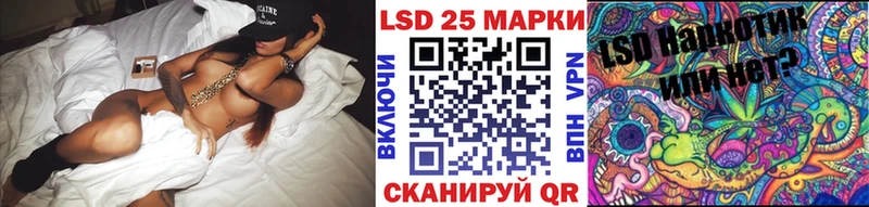 MEGA ссылки  Кингисепп  Марки N-bome 1500мкг  где можно купить наркотик 